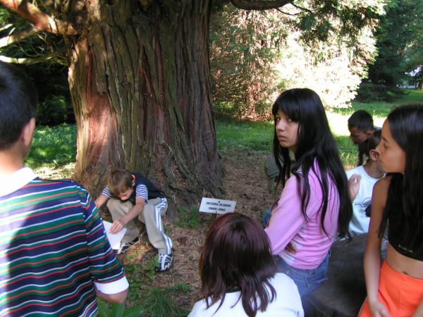 pict3735 (web)